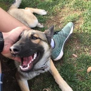 Meet your Posher, Ryan